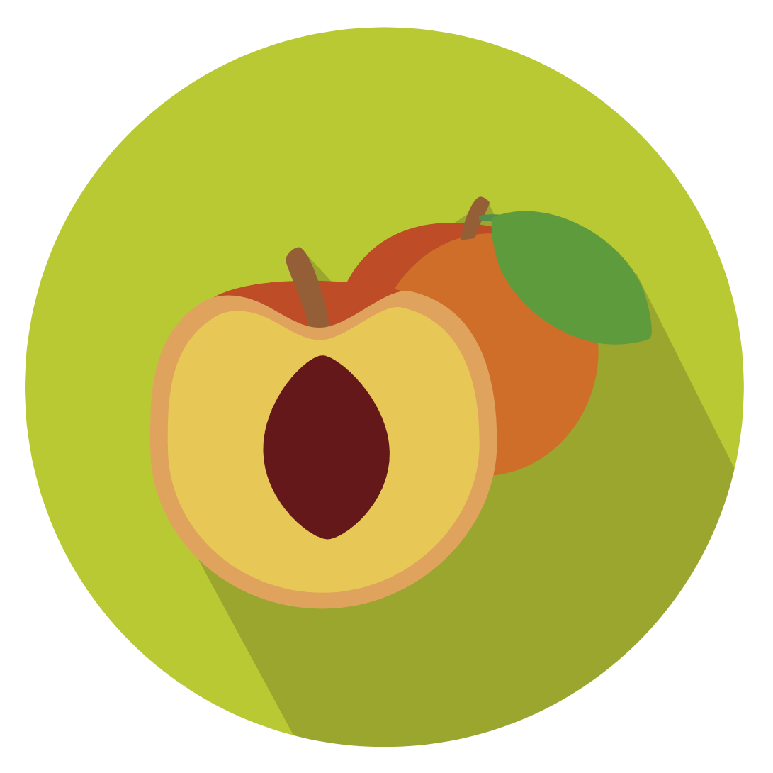 apricot2
