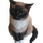 SDogya's avatar